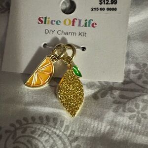 Slice Of Life DIY Charm Kit